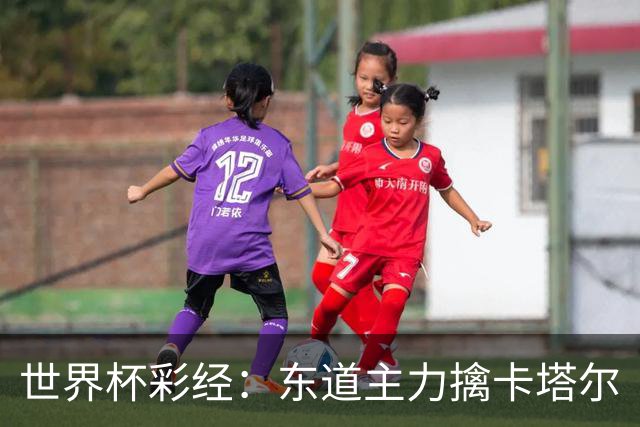 世界杯彩经：东道主力擒卡塔尔