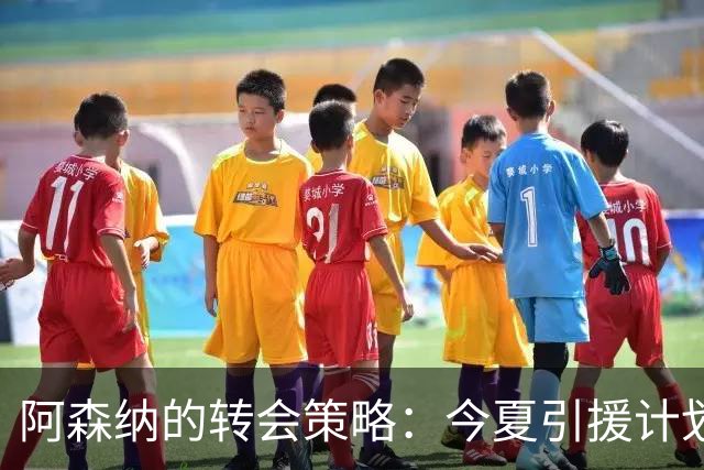 阿森纳的转会策略：今夏引援计划揭示未来蓝图