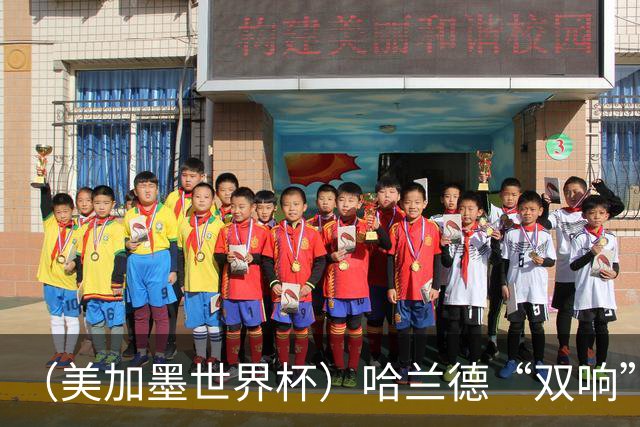 （美加墨世界杯）哈兰德“双响”建功 挪威淘汰巴西首次跻身八强